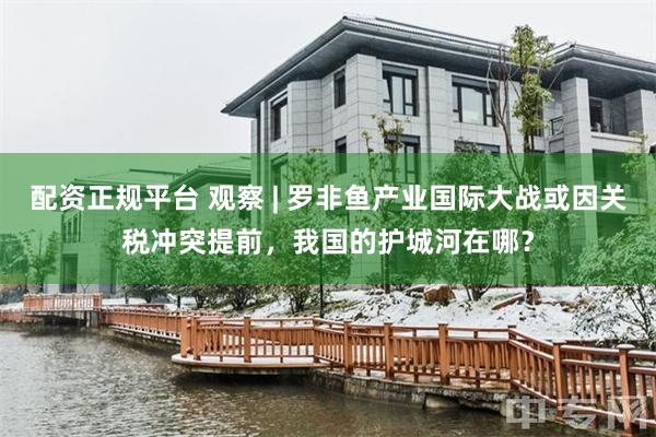 配资正规平台 观察 | 罗非鱼产业国际大战或因关税冲突提前，我国的护城河在哪？