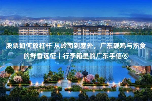 股票如何放杠杆 从岭南到塞外，广东靓鸡与熟食的鲜香远征｜行李箱里的广东手信⑥