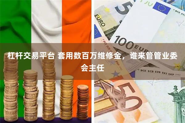 杠杆交易平台 套用数百万维修金，谁来管管业委会主任
