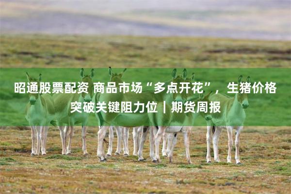 昭通股票配资 商品市场“多点开花”，生猪价格突破关键阻力位｜期货周报