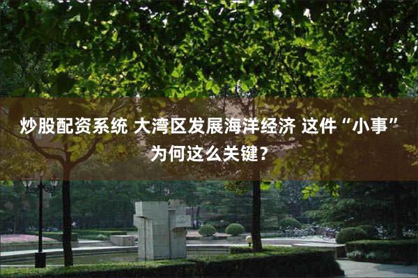 炒股配资系统 大湾区发展海洋经济 这件“小事”为何这么关键？