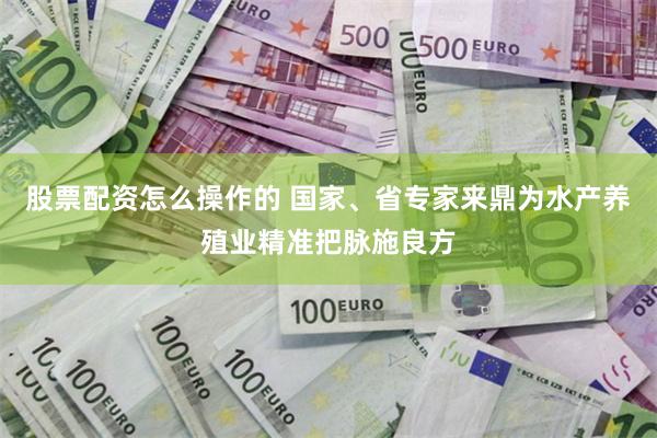 股票配资怎么操作的 国家、省专家来鼎为水产养殖业精准把脉施良方
