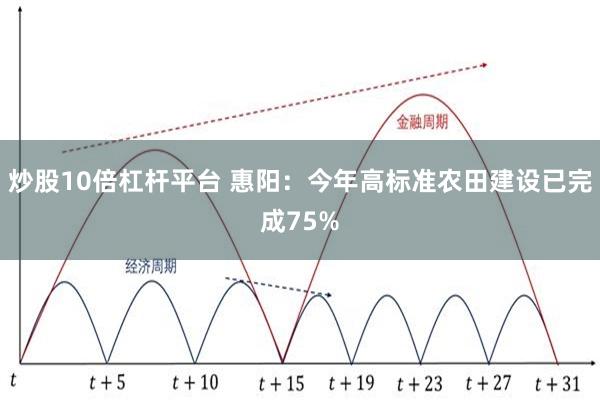炒股10倍杠杆平台 惠阳：今年高标准农田建设已完成75%
