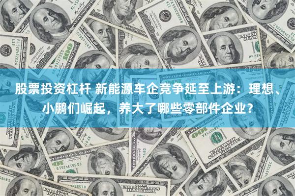 股票投资杠杆 新能源车企竞争延至上游：理想、小鹏们崛起，养大了哪些零部件企业？