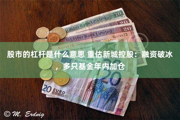 股市的杠杆是什么意思 重估新城控股：融资破冰，多只基金年内加仓