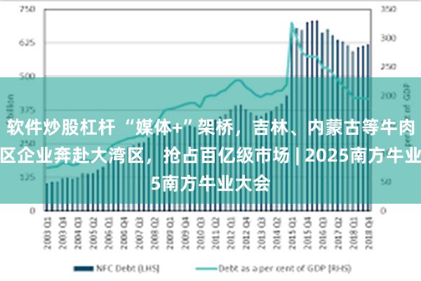 软件炒股杠杆 “媒体+”架桥，吉林、内蒙古等牛肉主产区企业奔赴大湾区，抢占百亿级市场 | 2025南方牛业大会