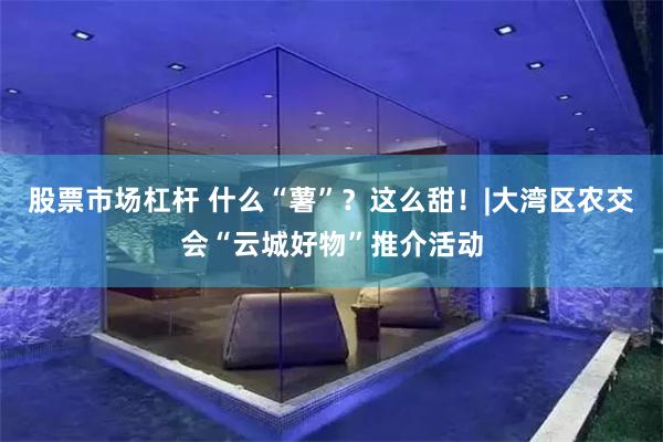 股票市场杠杆 什么“薯”？这么甜！|大湾区农交会“云城好物”推介活动