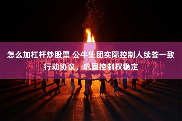 怎么加杠杆炒股票 公牛集团实际控制人续签一致行动协议，巩固控制权稳定