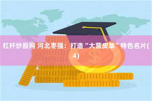 杠杆炒股网 河北枣强：打造“大营皮草”特色名片(4)
