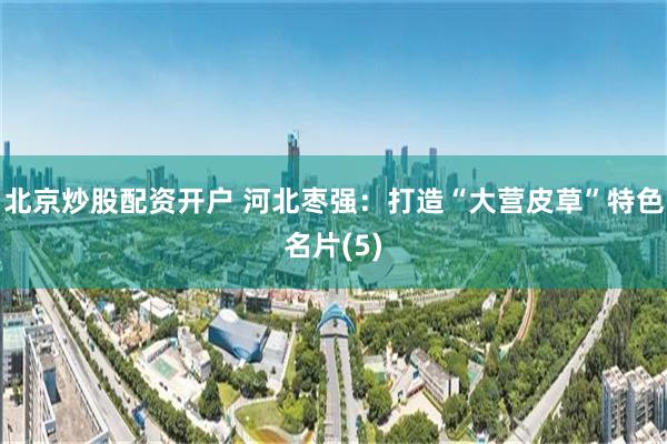 北京炒股配资开户 河北枣强：打造“大营皮草”特色名片(5)