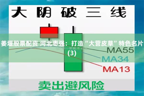 姜堰股票配资 河北枣强：打造“大营皮草”特色名片(3)