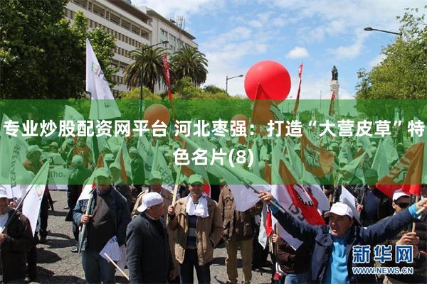 专业炒股配资网平台 河北枣强：打造“大营皮草”特色名片(8)