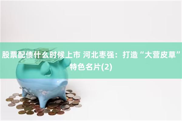 股票配债什么时候上市 河北枣强：打造“大营皮草”特色名片(2)