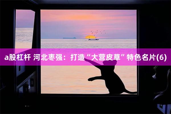 a股杠杆 河北枣强：打造“大营皮草”特色名片(6)