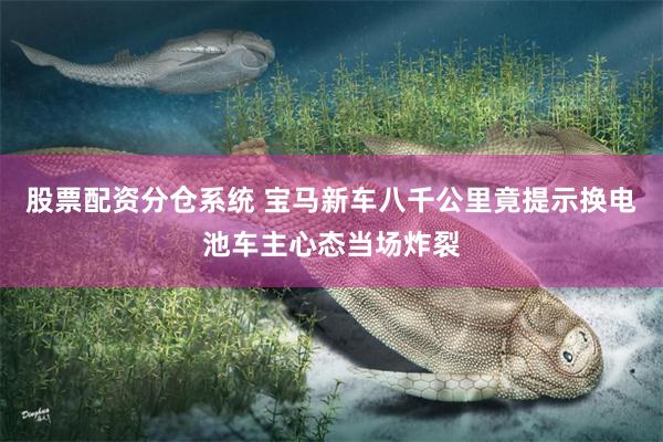 股票配资分仓系统 宝马新车八千公里竟提示换电池车主心态当场炸裂