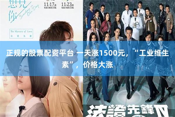 正规的股票配资平台 一天涨1500元，“工业维生素”，价格大涨