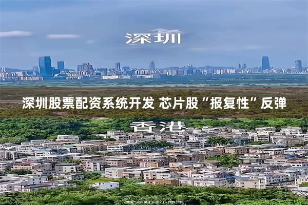 深圳股票配资系统开发 芯片股“报复性”反弹
