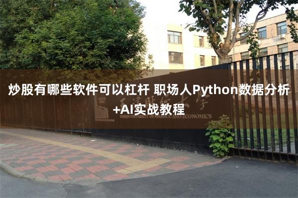 炒股有哪些软件可以杠杆 职场人Python数据分析+AI实战教程