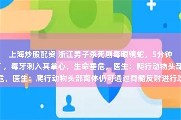 上海炒股配资 浙江男子杀死剧毒眼镜蛇，5分钟后断离蛇头突然“复仇”，毒牙刺入其掌心，生命垂危，医生：爬行动物头部离体仍可通过脊髓反射进行攻击