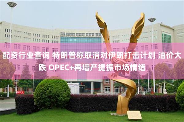 配资行业查询 特朗普称取消对伊朗打击计划 油价大跌 OPEC+再增产提振市场情绪