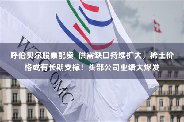 呼伦贝尔股票配资  供需缺口持续扩大，稀土价格或有长期支撑！头部公司业绩大爆发