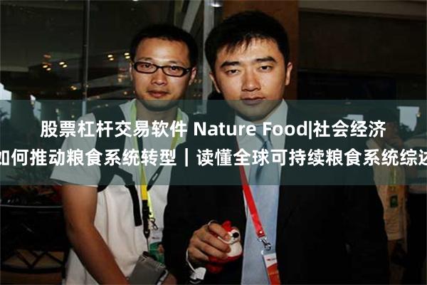 股票杠杆交易软件 Nature Food|社会经济如何推动粮食系统转型｜读懂全球可持续粮食系统综述