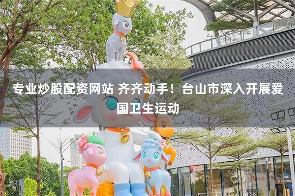 专业炒股配资网站 齐齐动手！台山市深入开展爱国卫生运动
