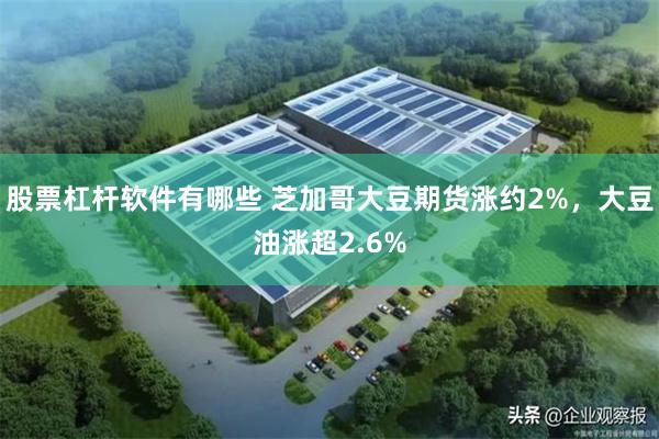股票杠杆软件有哪些 芝加哥大豆期货涨约2%，大豆油涨超2.6%