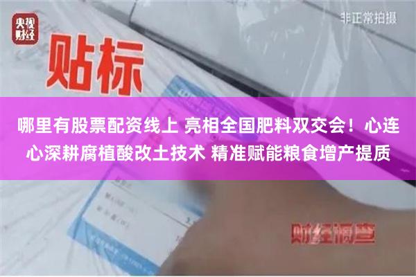 哪里有股票配资线上 亮相全国肥料双交会！心连心深耕腐植酸改土技术 精准赋能粮食增产提质