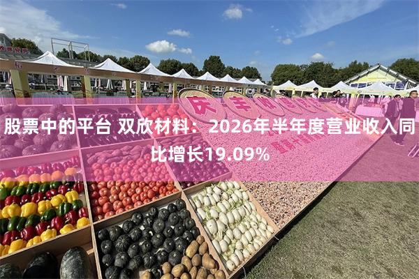股票中的平台 双欣材料：2026年半年度营业收入同比增长19.09%