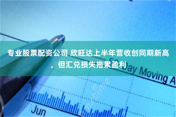 专业股票配资公司 欣旺达上半年营收创同期新高，但汇兑损失拖累盈利