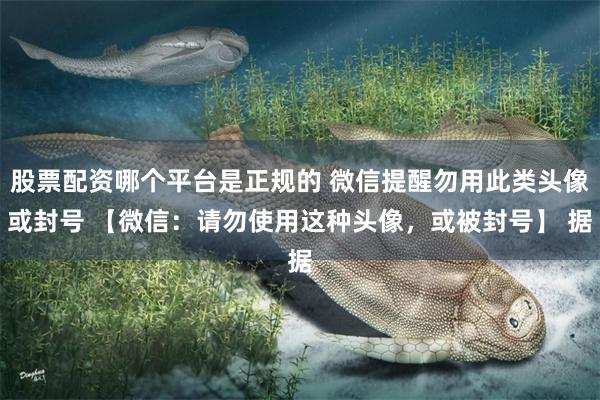 股票配资哪个平台是正规的 微信提醒勿用此类头像或封号 【微信：请勿使用这种头像，或被封号】 据