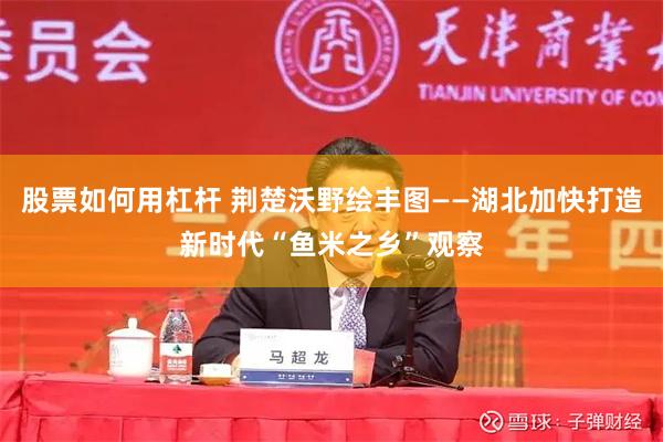 股票如何用杠杆 荆楚沃野绘丰图——湖北加快打造新时代“鱼米之乡”观察
