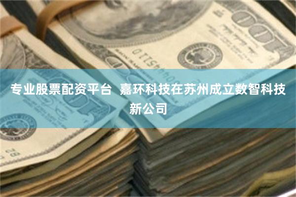 专业股票配资平台  嘉环科技在苏州成立数智科技新公司
