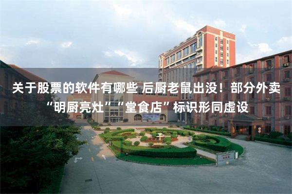 关于股票的软件有哪些 后厨老鼠出没!部分外卖“明厨亮灶”“堂食店”标识形同虚设