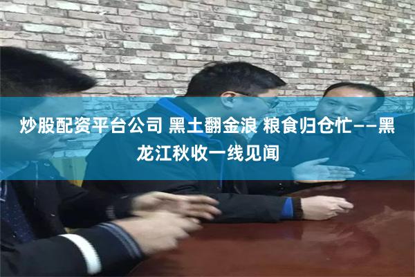 炒股配资平台公司 黑土翻金浪 粮食归仓忙——黑龙江秋收一线见闻