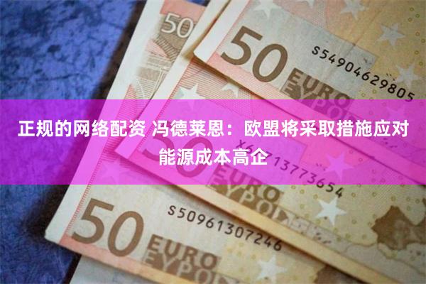 正规的网络配资 冯德莱恩：欧盟将采取措施应对能源成本高企