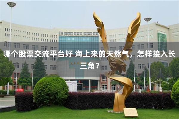 哪个股票交流平台好 海上来的天然气，怎样接入长三角？