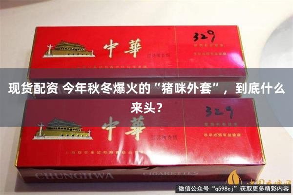 现货配资 今年秋冬爆火的“猪咪外套”，到底什么来头？