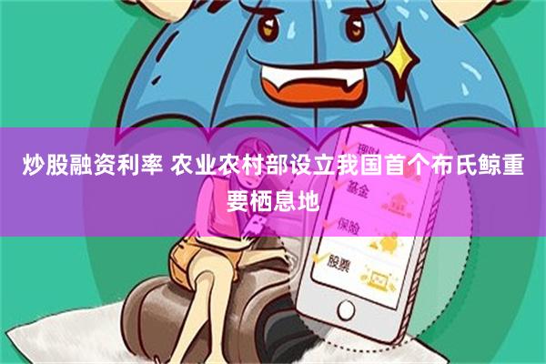 炒股融资利率 农业农村部设立我国首个布氏鲸重要栖息地