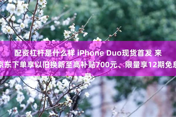 配资杠杆是什么样 iPhone Duo现货首发 来京东下单享以旧换新至高补贴700元、限量享12期免息